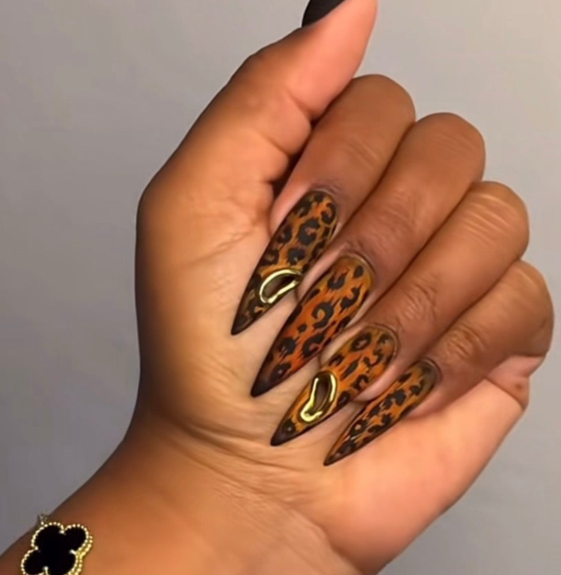 Privacy Screen cheetah